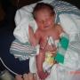 Teresa Sturgill Photo 12
