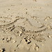 Jessica Seals Photo 21