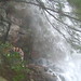 Connie Branch Photo 17