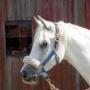 Nancy Overton Photo 20