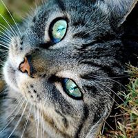 Kitty Bailey Photo 26