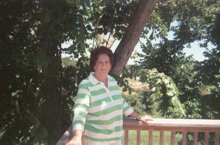 Judy Hunt Photo 29