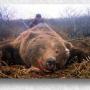 Gerald Snyder Photo 39