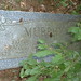 Josephine Murphy Photo 15