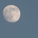 Fred Woodworth Photo 11