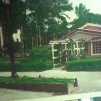 Joyce Bates Photo 19