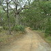 Frances Robertson Photo 21