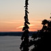 Jenny Mount Photo 8
