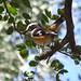 Robin Parry Photo 33