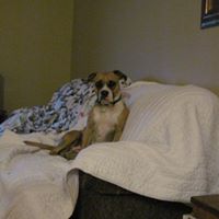 Susan Bratton Photo 22