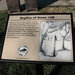Franklin Simpson Photo 11