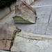 Stephen Dial Photo 18