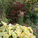 Karl Burns Photo 35