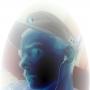 Steven Naumann Photo 6