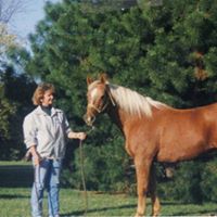 Linda Stroup Photo 27