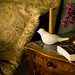 Erik Larson Photo 13