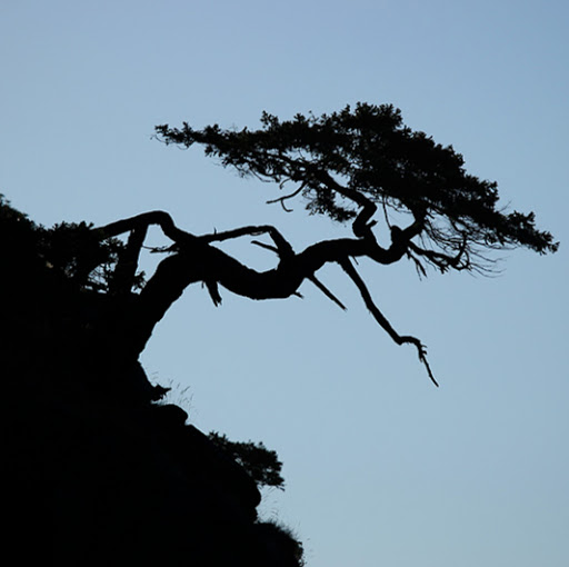 Mark Powell Photo 54