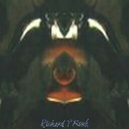 Richard Monk Photo 6