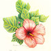 Jennifer Kao Photo 28