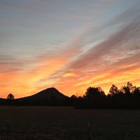 Patricia Farnsworth Photo 22