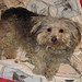 Sharon Lacy Photo 25