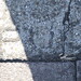 Ronald Rude Photo 13