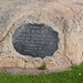 Julia Platt Photo 11