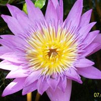 Linda Mccrary Photo 7