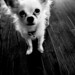 Leroy Littles Photo 7