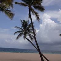 Mary Montez Photo 14