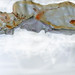 Elizabeth Saville Photo 12