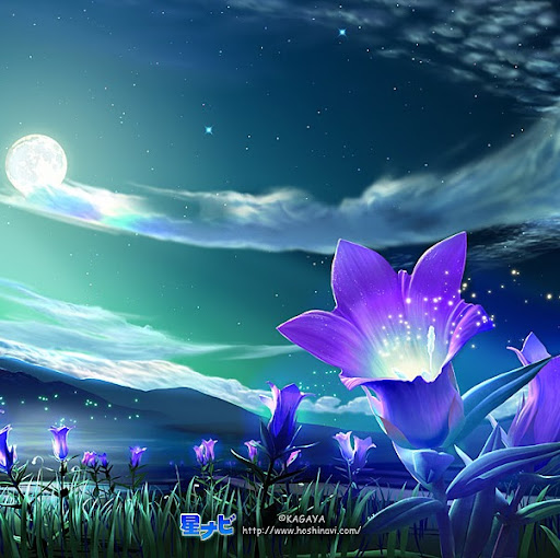 Duc Le Photo 30