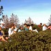 Laurie Burton Photo 35