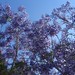 Kathy Herrington Photo 19