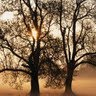 Cathy Hogan Photo 19