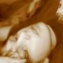 Stephen Long Photo 30