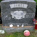 Joyce Dougherty Photo 17