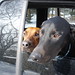 Annie Amos Photo 3
