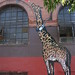 Nick Walker Photo 8
