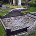 Raymond Robins Photo 24