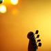 David Lindeen Photo 10