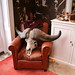 Kimberly Hall Photo 15