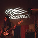 Todd Wolfe Photo 18