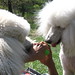 Anne Bailey Photo 35