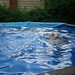 Dee Taylor Photo 41