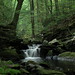 Curtis Brooks Photo 34