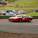 Tracey Haynes Photo 10