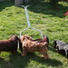 Frank Mower Photo 9