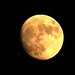 Debbie Hinkle Photo 28
