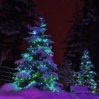 Teresa Gauthier Photo 19